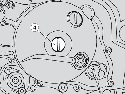 Undo and remove the cap (4).