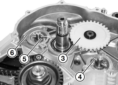 Remove idler gear (3).