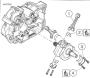 Crankshaft and connecting rods